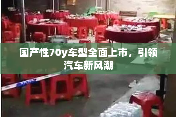 国产性70y车型全面上市，引领汽车新风潮