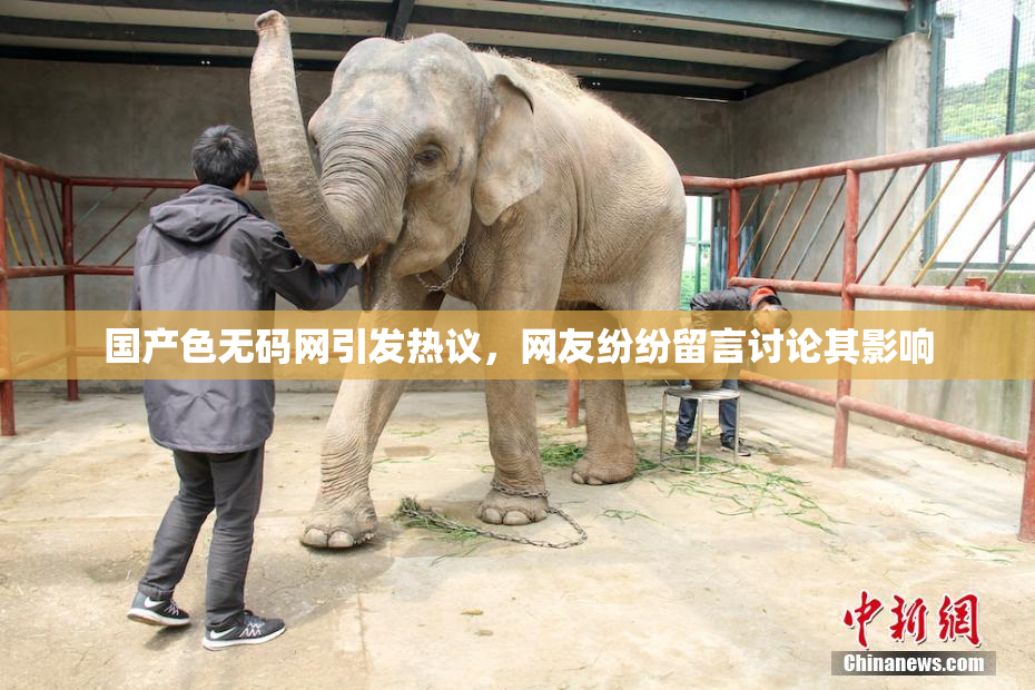 国产色无码网引发热议，网友纷纷留言讨论其影响