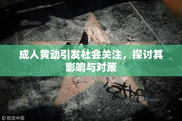 成人黄动引发社会关注，探讨其影响与对策