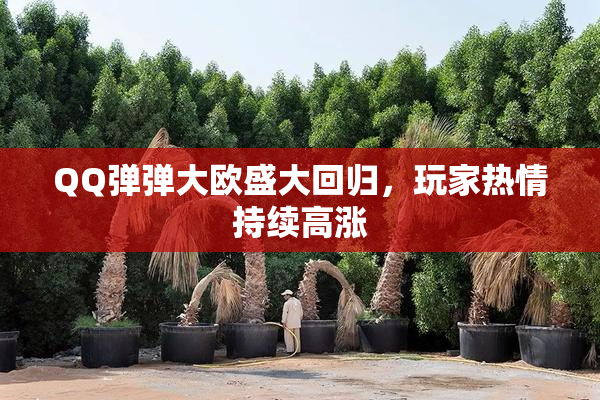 QQ弹弹大欧盛大回归，玩家热情持续高涨