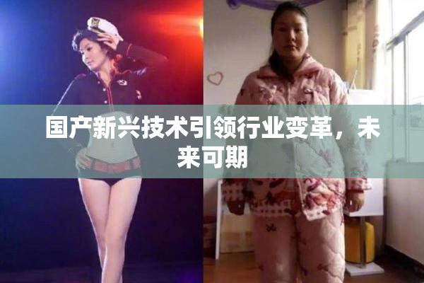 国产新兴技术引领行业变革，未来可期