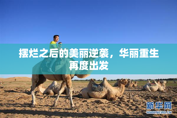 摆烂之后的美丽逆袭，华丽重生再度出发