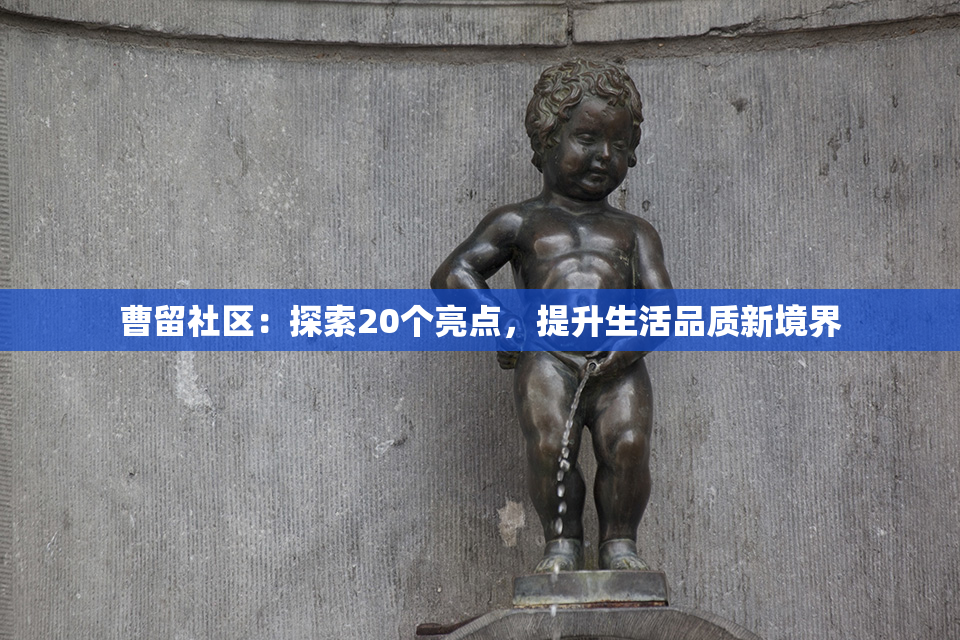 曹留社区：探索20个亮点，提升生活品质新境界