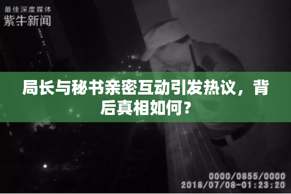 局长与秘书亲密互动引发热议，背后真相如何？