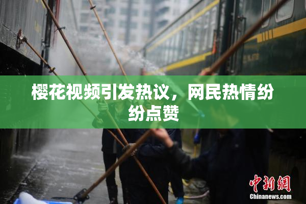 樱花视频引发热议，网民热情纷纷点赞