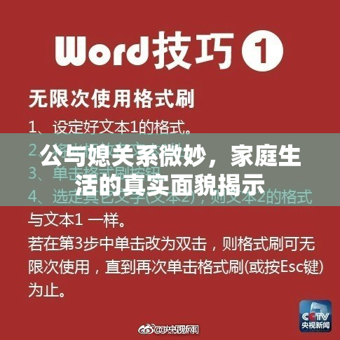 公与媳关系微妙，家庭生活的真实面貌揭示