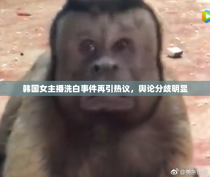 韩国女主播洗白事件再引热议，舆论分歧明显