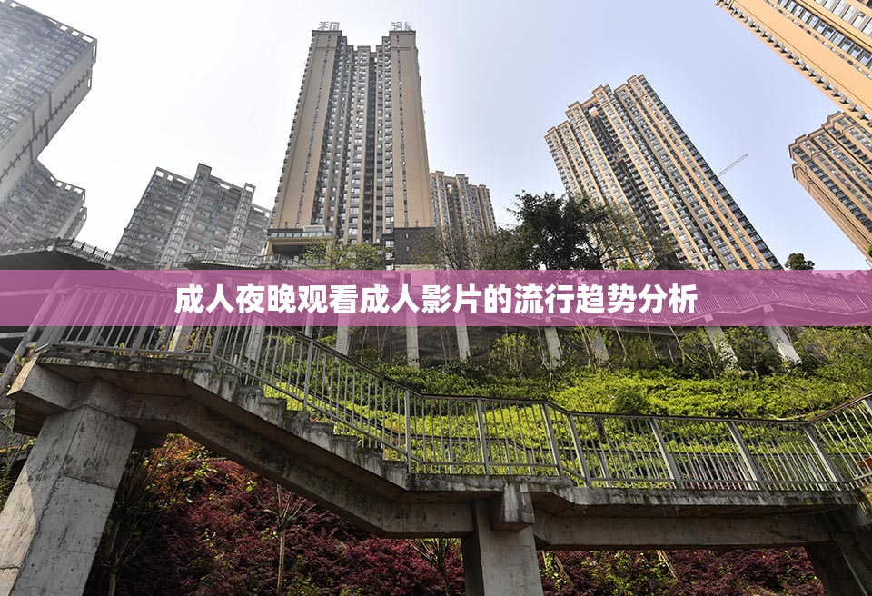 成人夜晚观看成人影片的流行趋势分析