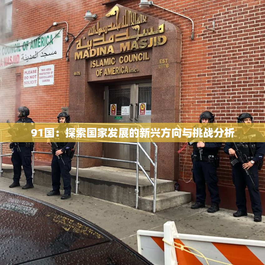 91国：探索国家发展的新兴方向与挑战分析