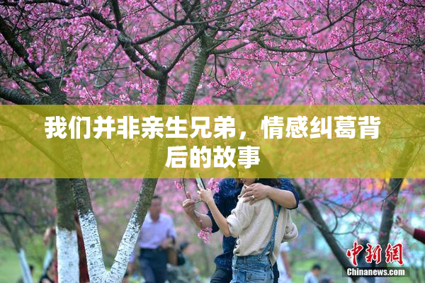 我们并非亲生兄弟，情感纠葛背后的故事