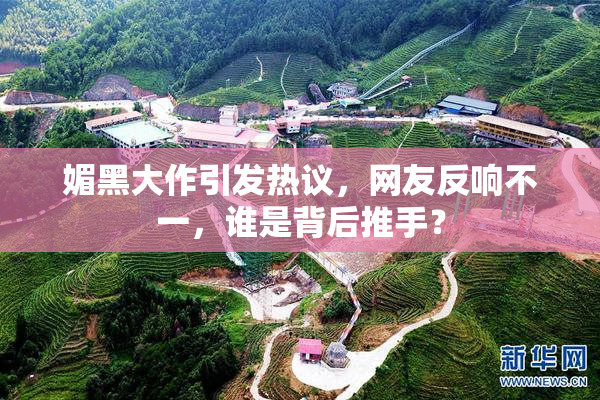 媚黑大作引发热议，网友反响不一，谁是背后推手？