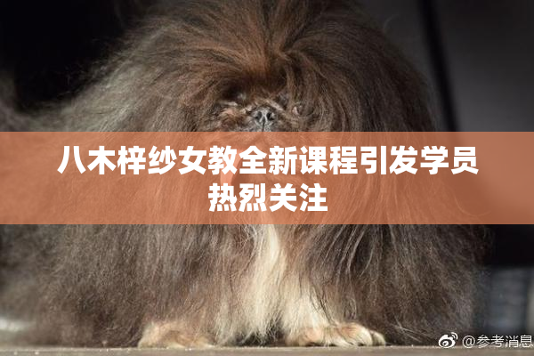 八木梓纱女教全新课程引发学员热烈关注