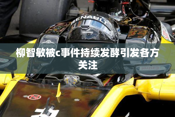 柳智敏被c事件持续发酵引发各方关注