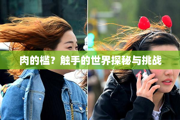 肉的槛？触手的世界探秘与挑战