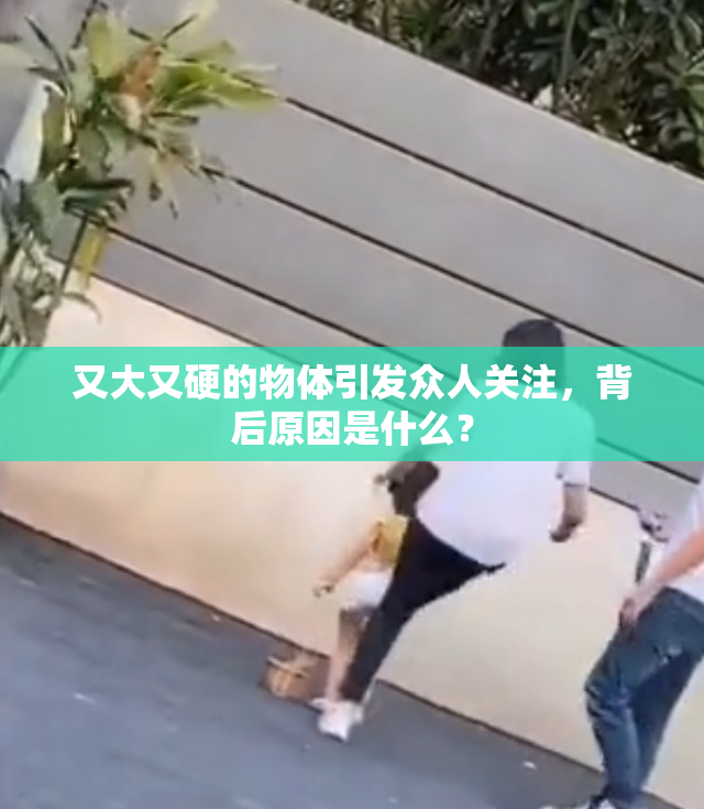 又大又硬的物体引发众人关注，背后原因是什么？
