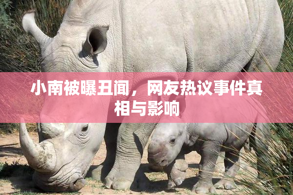 小南被曝丑闻，网友热议事件真相与影响
