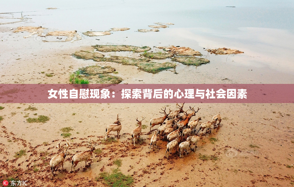 女性自慰现象：探索背后的心理与社会因素
