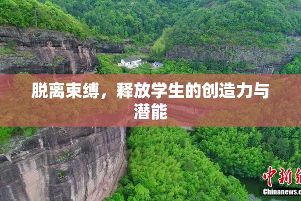 脱离束缚，释放学生的创造力与潜能