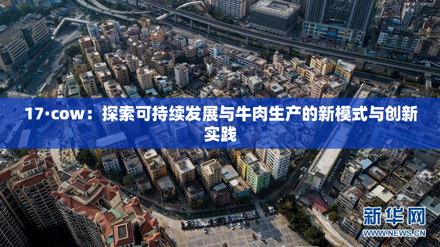 17·cow：探索可持续发展与牛肉生产的新模式与创新实践