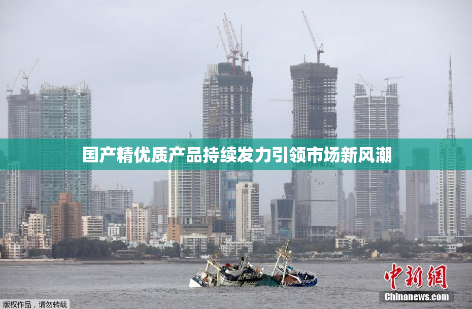 国产精优质产品持续发力引领市场新风潮