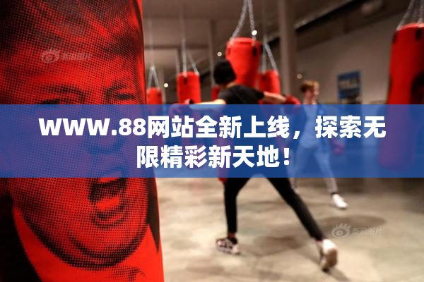 WWW.88网站全新上线，探索无限精彩新天地！