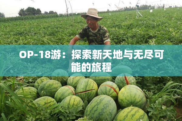 OP-18游：探索新天地与无尽可能的旅程