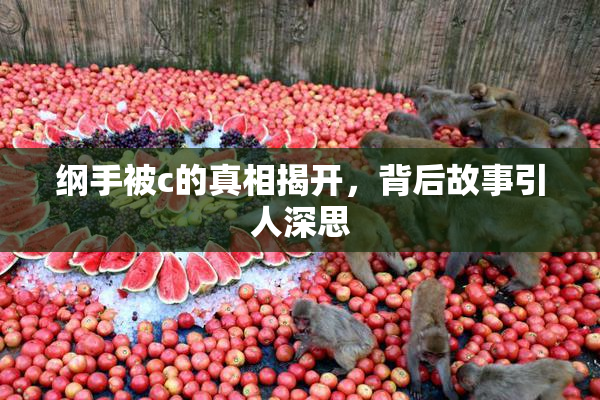 纲手被c的真相揭开，背后故事引人深思