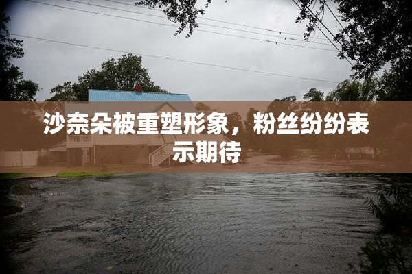沙奈朵被重塑形象，粉丝纷纷表示期待
