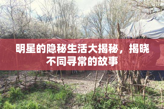 明星的隐秘生活大揭秘，揭晓不同寻常的故事