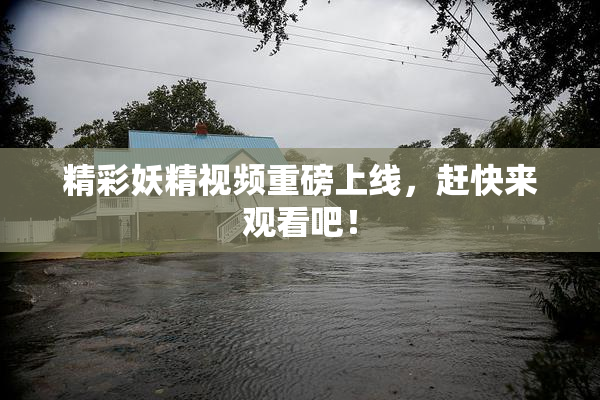 精彩妖精视频重磅上线，赶快来观看吧！