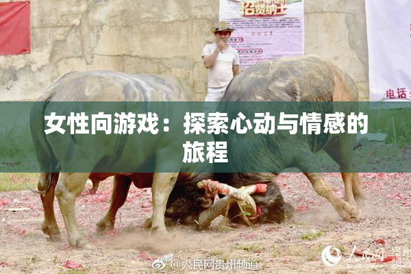 女性向游戏：探索心动与情感的旅程