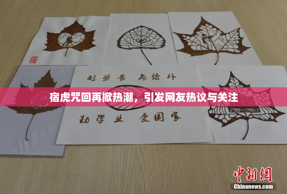 宿虎咒回再掀热潮，引发网友热议与关注
