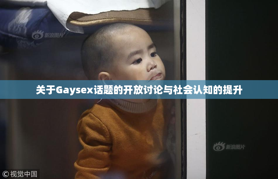 关于Gaysex话题的开放讨论与社会认知的提升