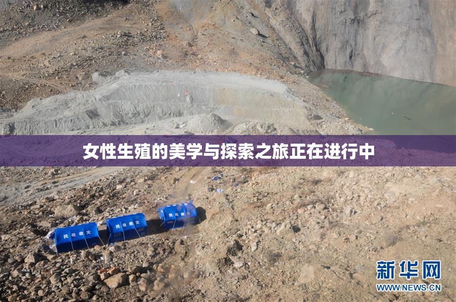女性生殖的美学与探索之旅正在进行中