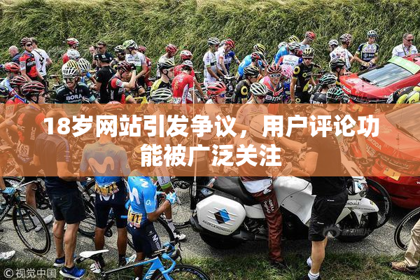 18岁网站引发争议，用户评论功能被广泛关注