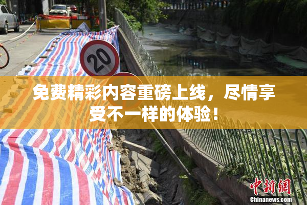 免费精彩内容重磅上线，尽情享受不一样的体验！