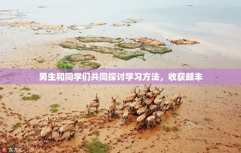 男生和同学们共同探讨学习方法，收获颇丰
