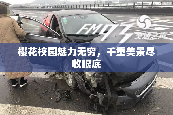 樱花校园魅力无穷，千重美景尽收眼底