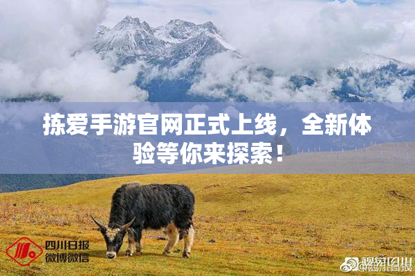 拣爱手游官网正式上线，全新体验等你来探索！