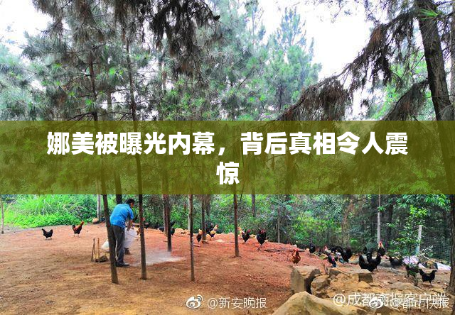 娜美被曝光内幕，背后真相令人震惊