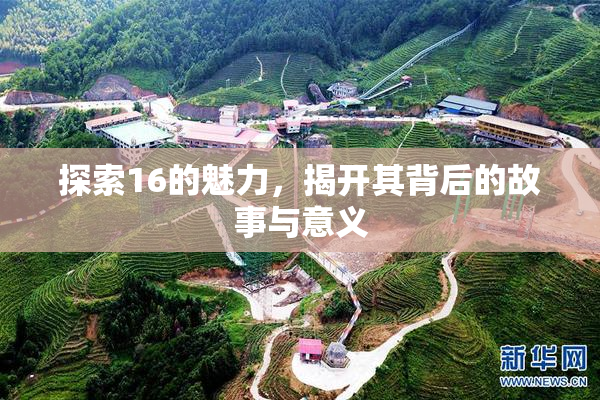 探索16的魅力，揭开其背后的故事与意义