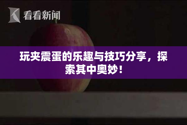 玩夹震蛋的乐趣与技巧分享，探索其中奥妙！