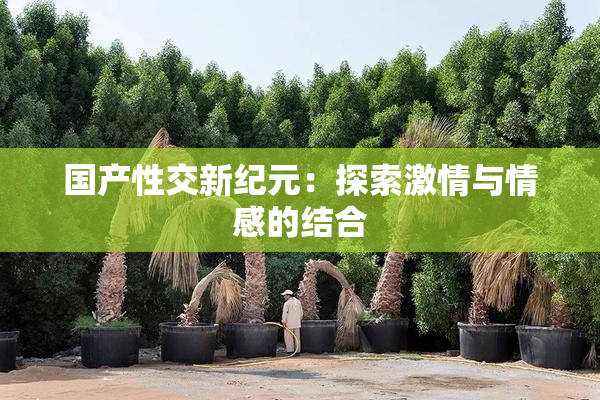 国产性交新纪元：探索激情与情感的结合