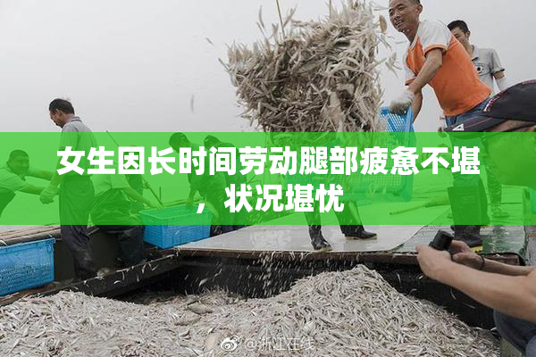女生因长时间劳动腿部疲惫不堪，状况堪忧