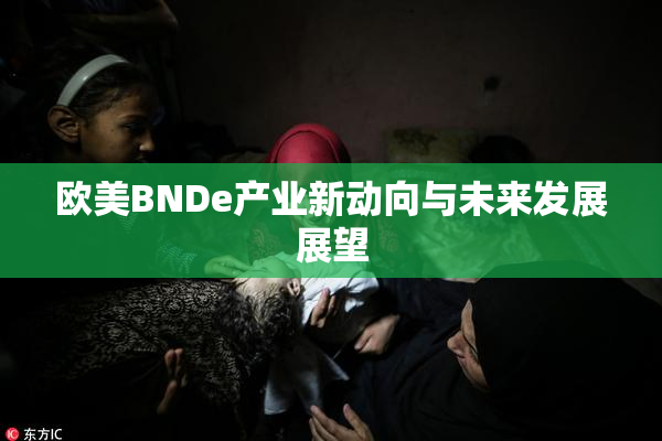 欧美BNDe产业新动向与未来发展展望