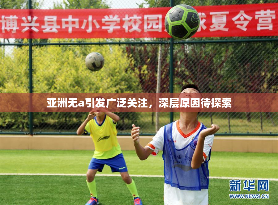 亚洲无a引发广泛关注，深层原因待探索
