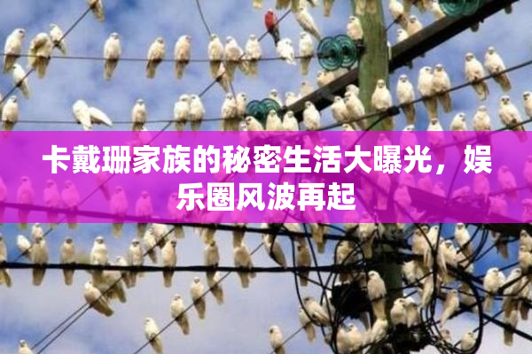 卡戴珊家族的秘密生活大曝光，娱乐圈风波再起