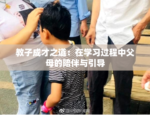 教子成才之道：在学习过程中父母的陪伴与引导