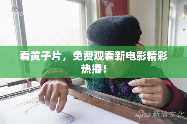 看黄子片，免费观看新电影精彩热播！