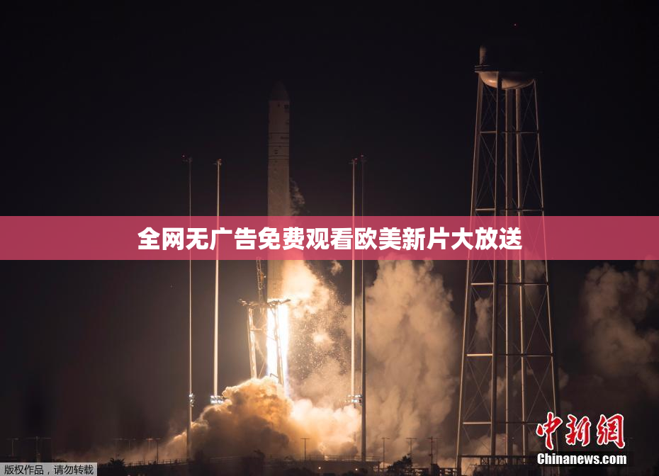 全网无广告免费观看欧美新片大放送